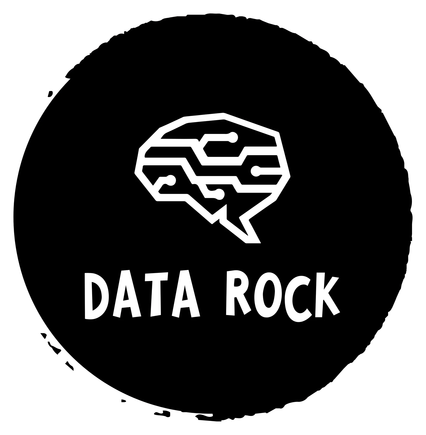 Logo Data Rock